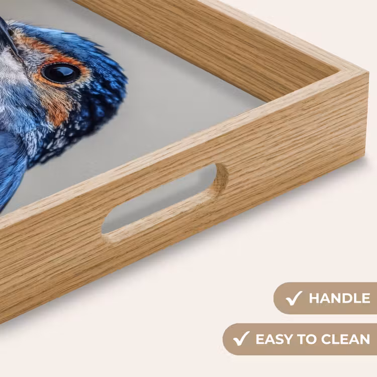Tray - Colorful - Bird - Feathers - Blue — 9
