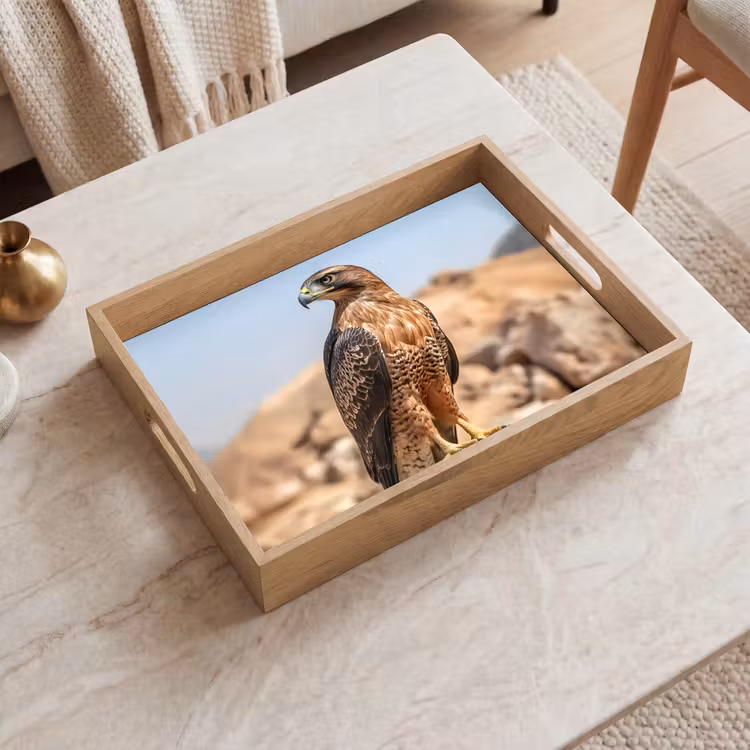 Tray - Falcon - Bird - Rock - Power — 2