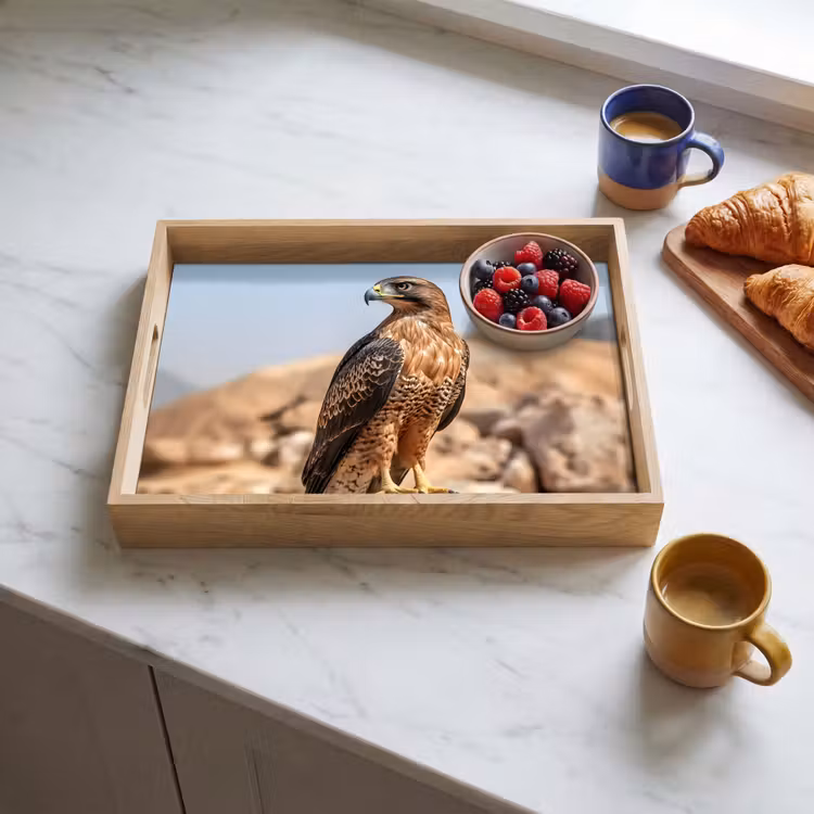 Tray - Falcon - Bird - Rock - Power — 3