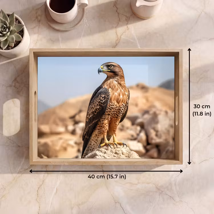 Tray - Falcon - Bird - Rock - Power — 7