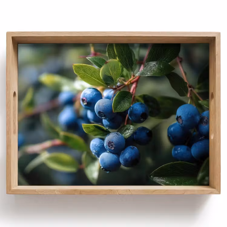 Tray - Blueberries - Dewdrops - Natural light — 1