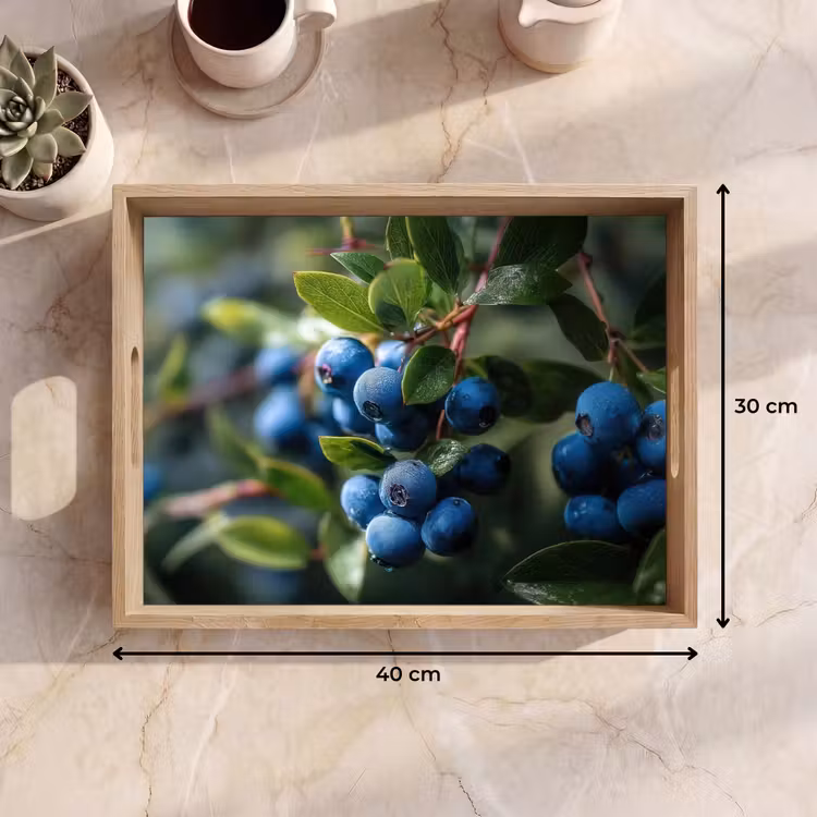 Tray - Blueberries - Dewdrops - Natural light — 8