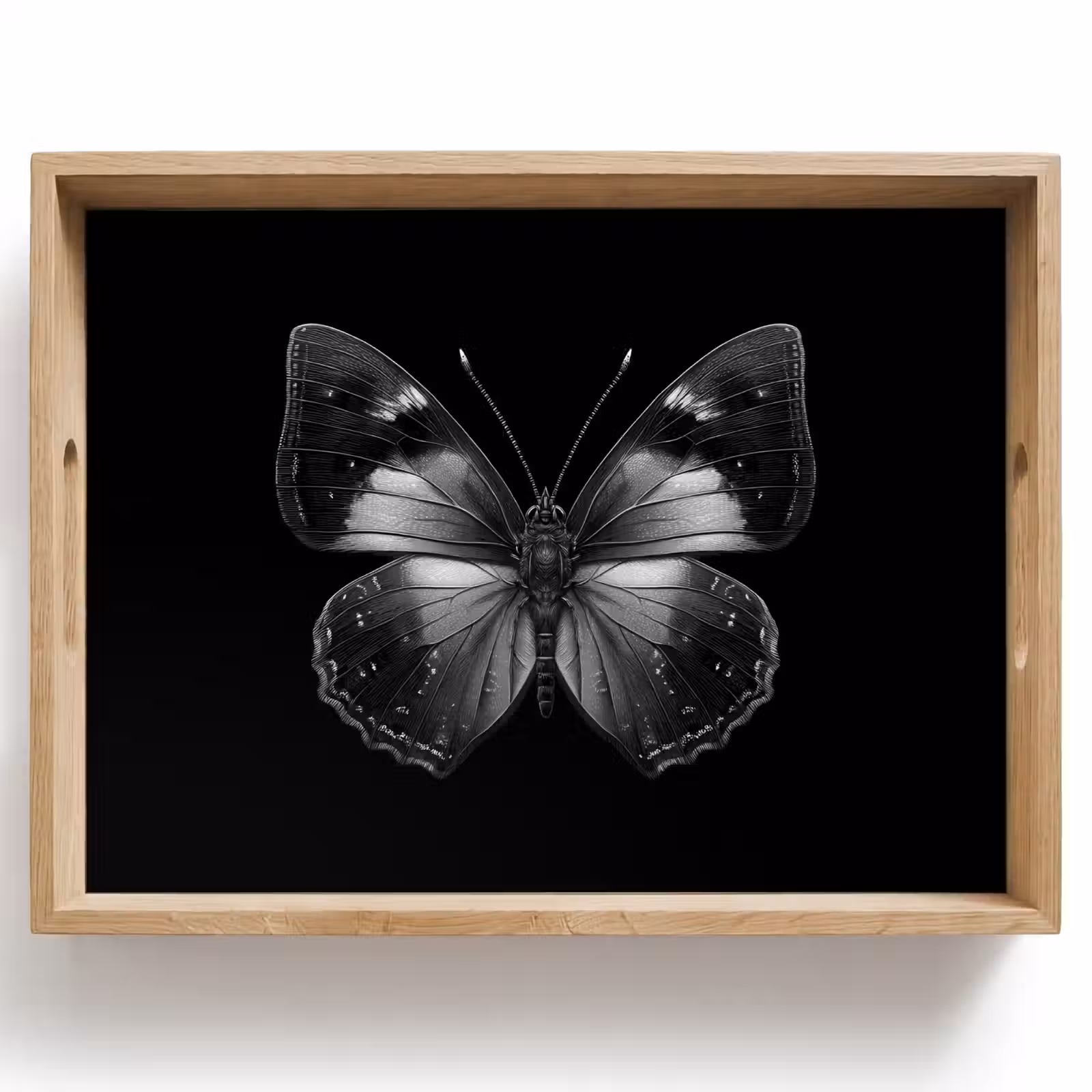 Tray - Butterfly - Gray - Mysterious — 1