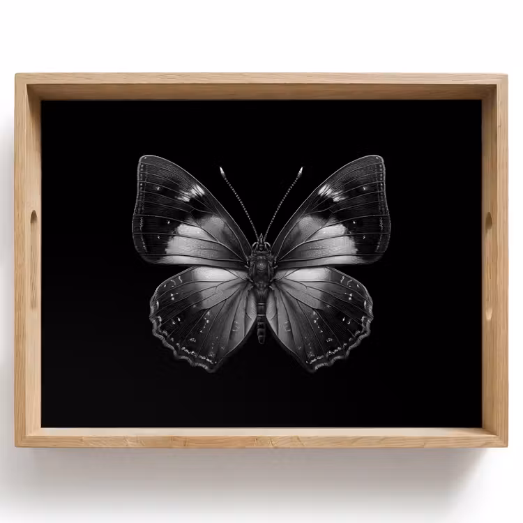 Tray - Butterfly - Gray - Mysterious — 1