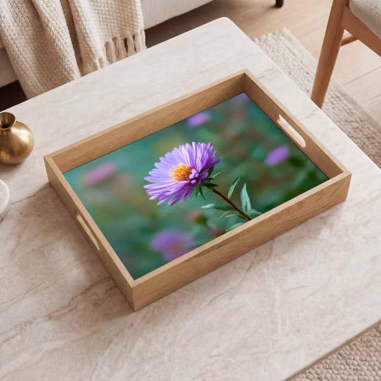Tray - Aster - Purple - Flower - Petals — 2