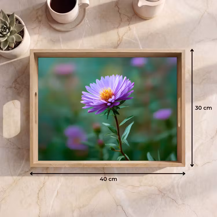 Tray - Aster - Purple - Flower - Petals — 8