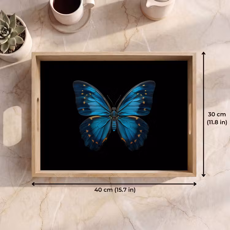 Tray - Butterfly - Blue - Contrast — 7