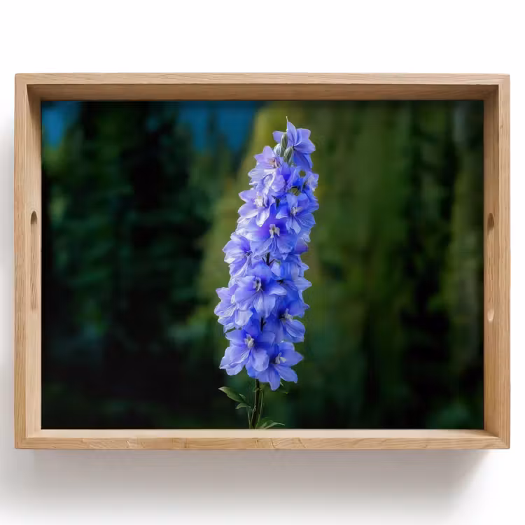 Tray - Flowers - Blue - Pine Tree — 1