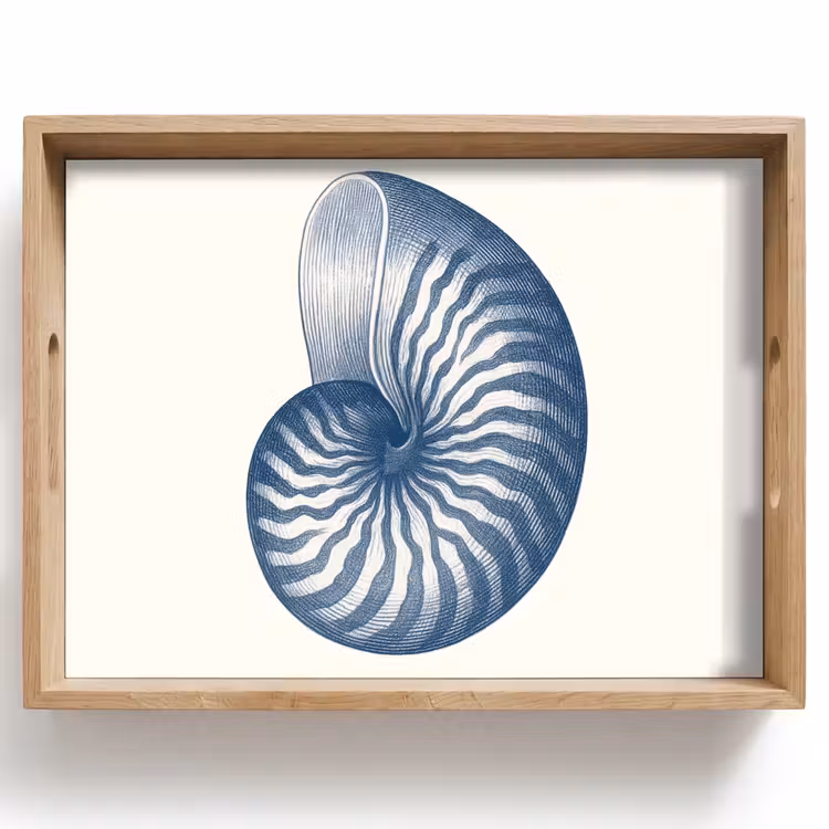 Tray - Blue - Shell - Spiral — 1