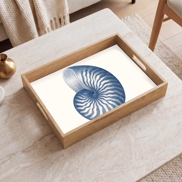 Tray - Blue - Shell - Spiral — 2