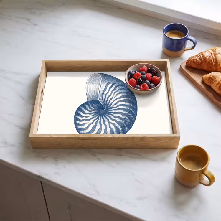 Tray - Blue - Shell - Spiral — 3