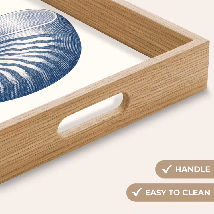 Tray - Blue - Shell - Spiral — 9