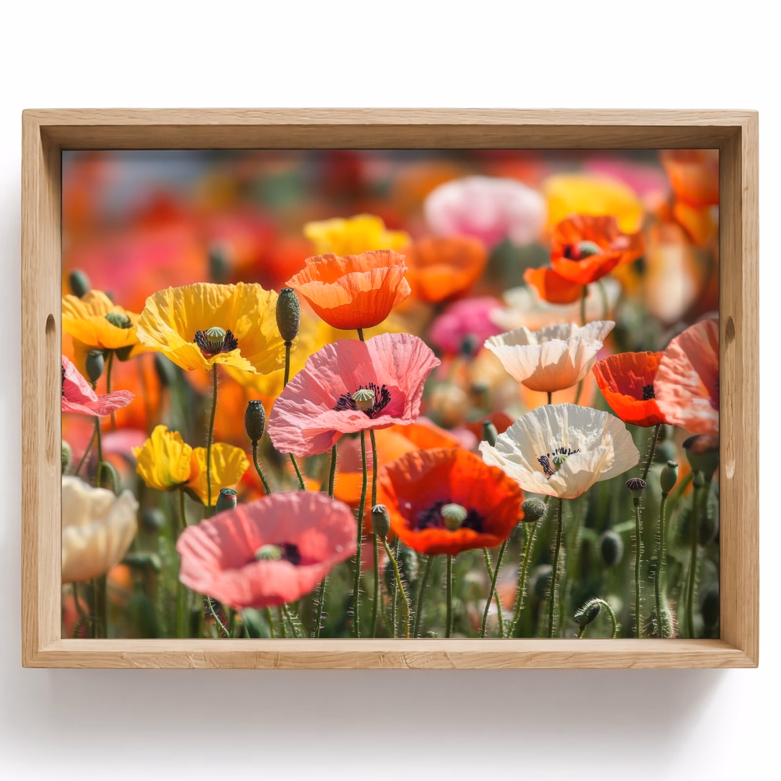 Tray - Field of flowers - Poppies - Colorful — 1
