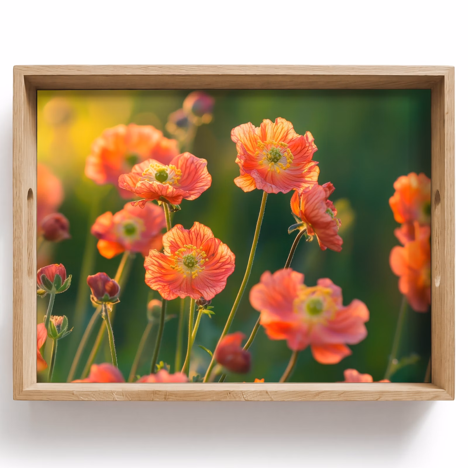 Tray - Field of flowers - Sunbeams - Orange — 1