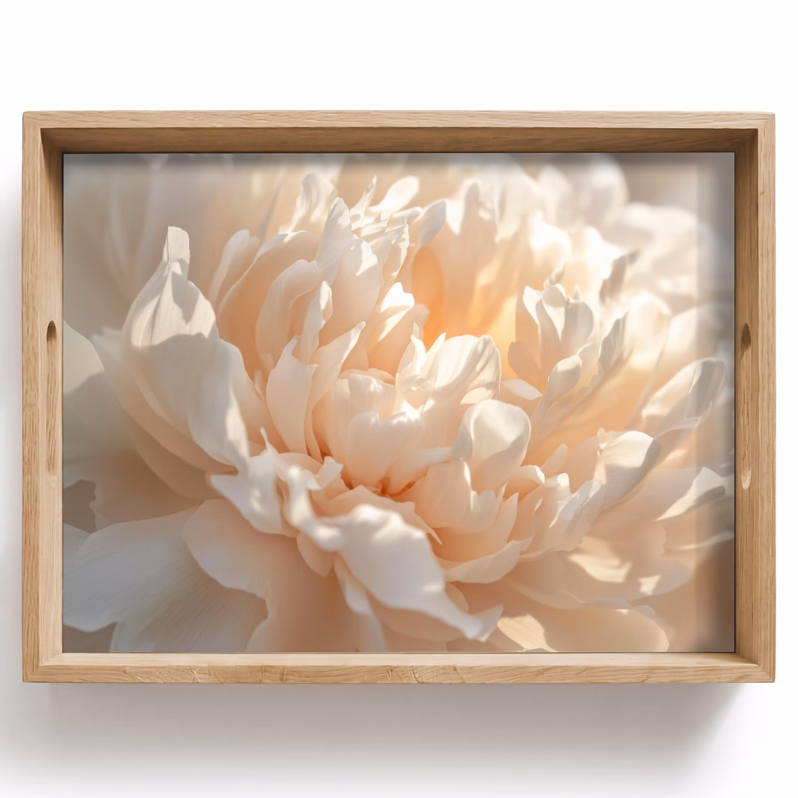 Tray - Close up - Peony - Light pink — 1