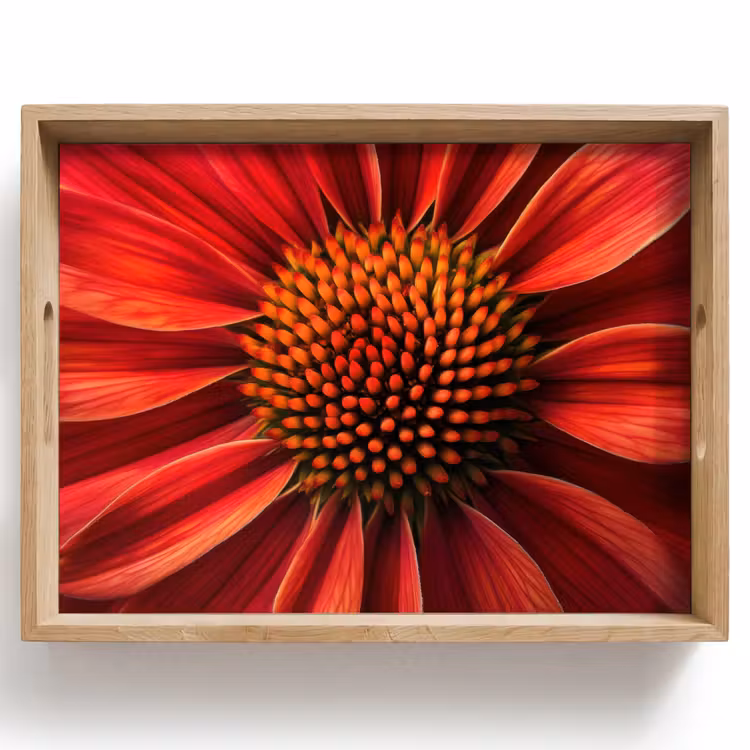 Tray - Close up - Flower- Red — 1