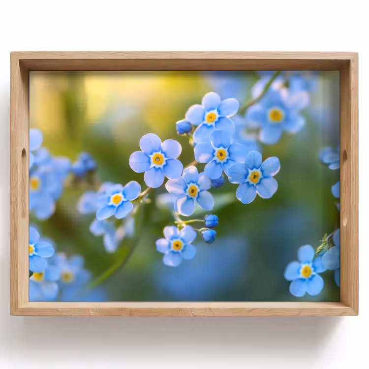 Tray - Flowers - Blue - Forget me not — 1