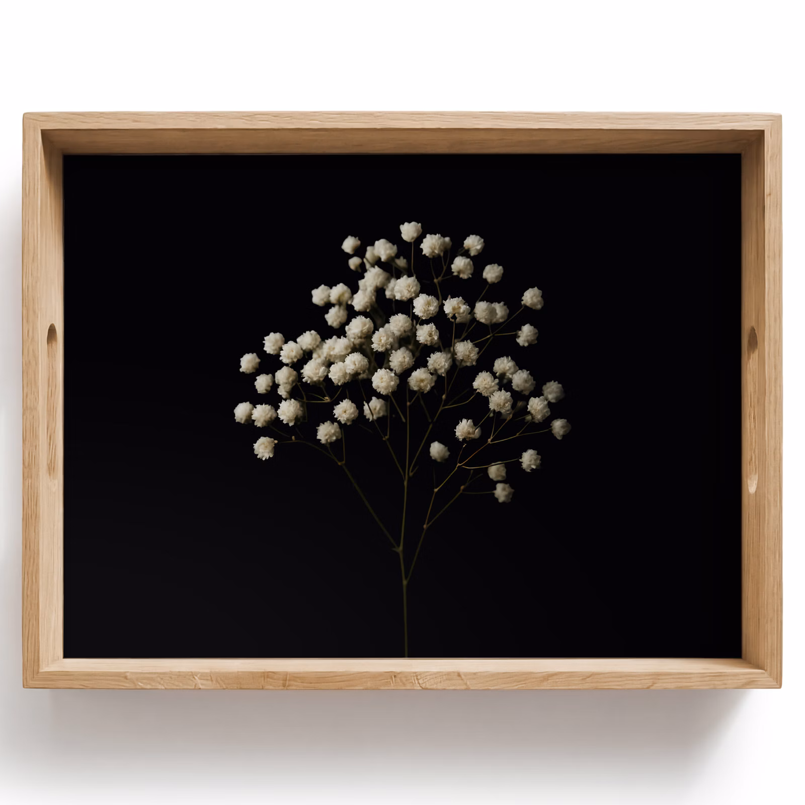 Tray - Drywall - Flowers - White - Minimalist — 1