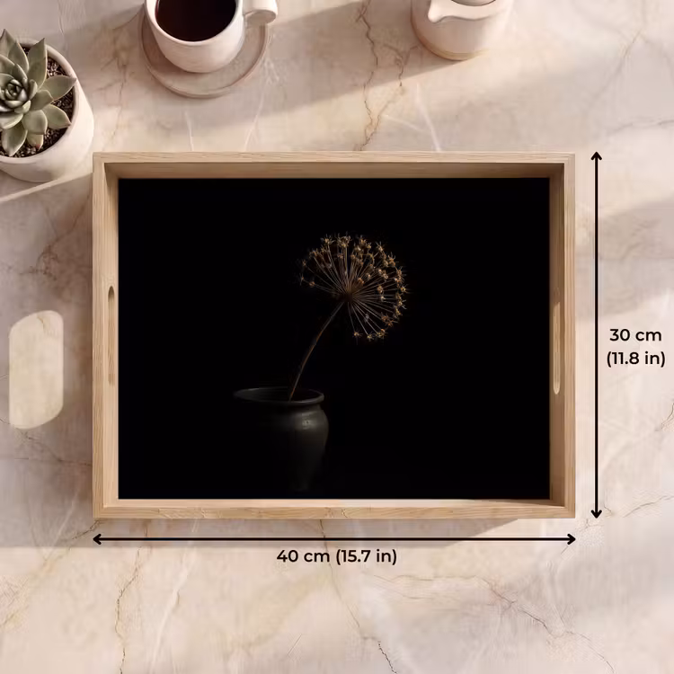 Tray - Bulb - Dried - Vase - Black — 7