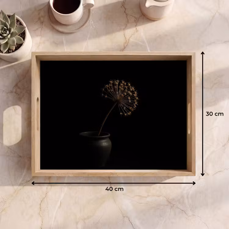 Tray - Bulb - Dried - Vase - Black — 8