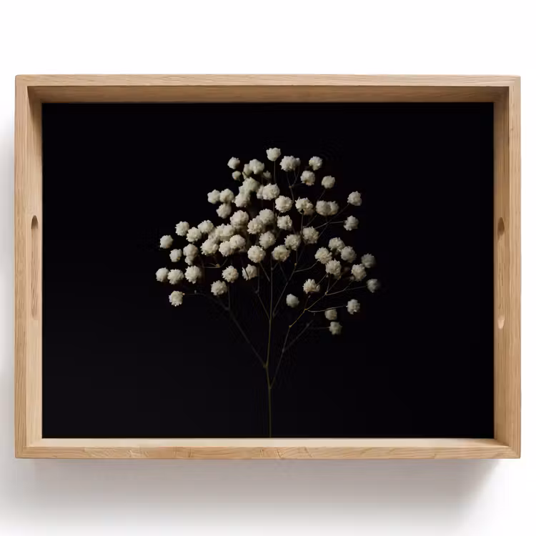 Tray - Drywall - Flowers - White - Minimalist — 1