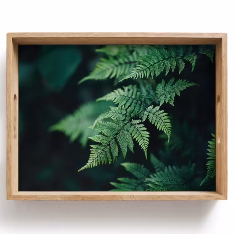 Tray - Fern leaf - Green - Texture - Blurred — 1