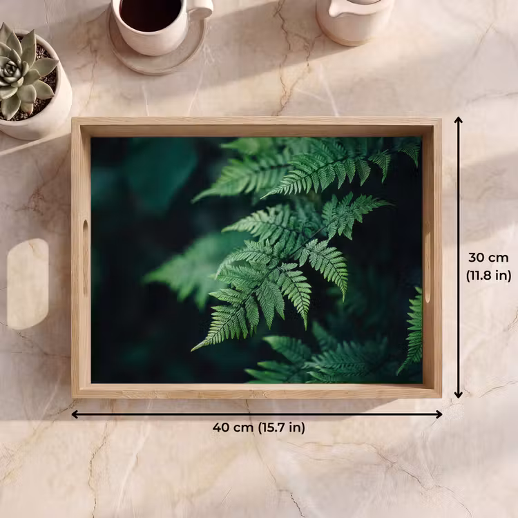Tray - Fern leaf - Green - Texture - Blurred — 7