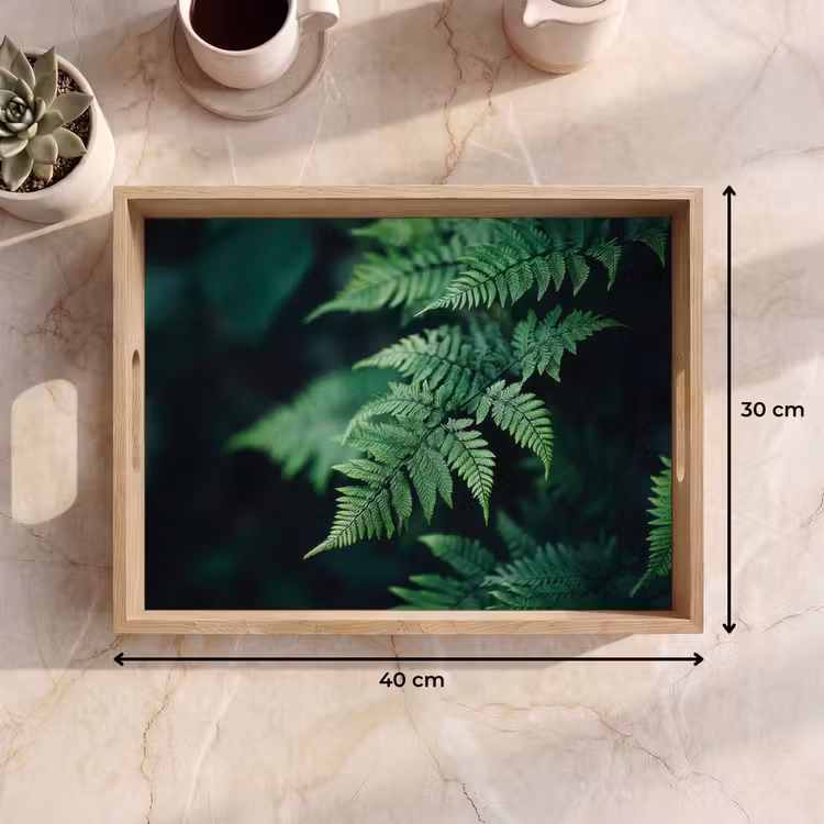 Tray - Fern leaf - Green - Texture - Blurred — 8