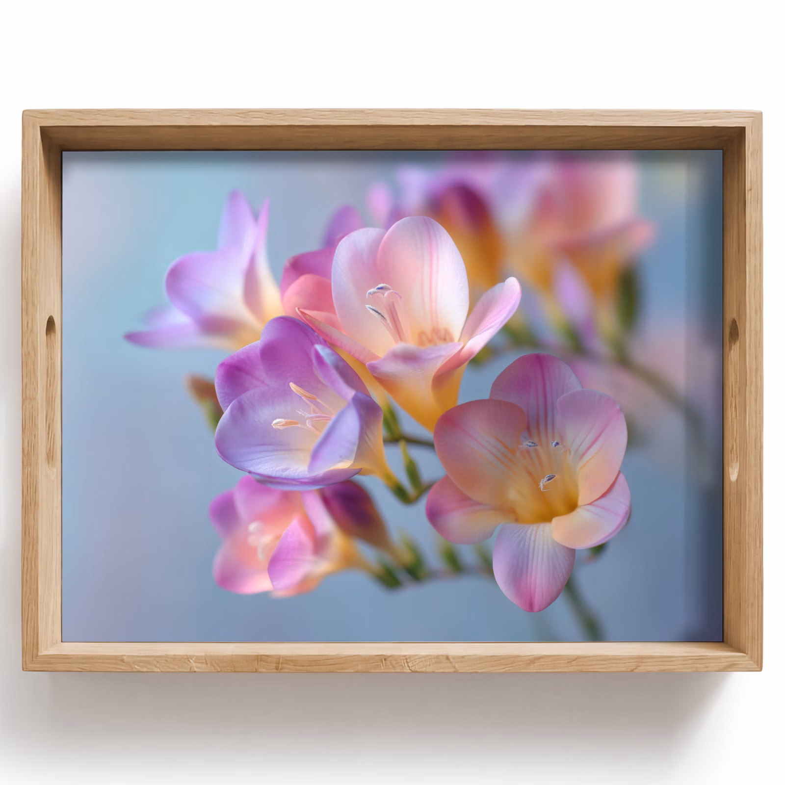 Tray - Flowers - Purple - Overflow - Stamen — 1