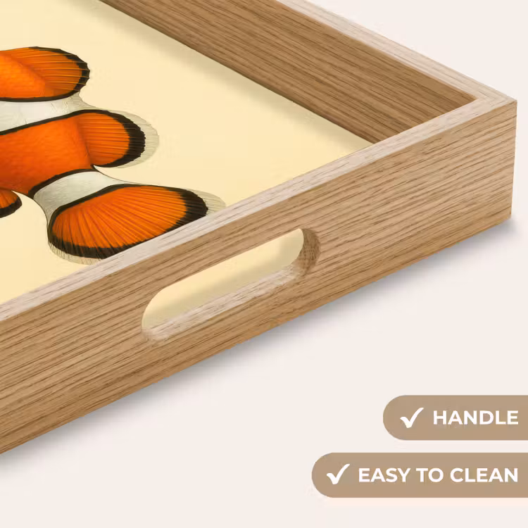 Tray - Fish - Orange - Stripes — 9