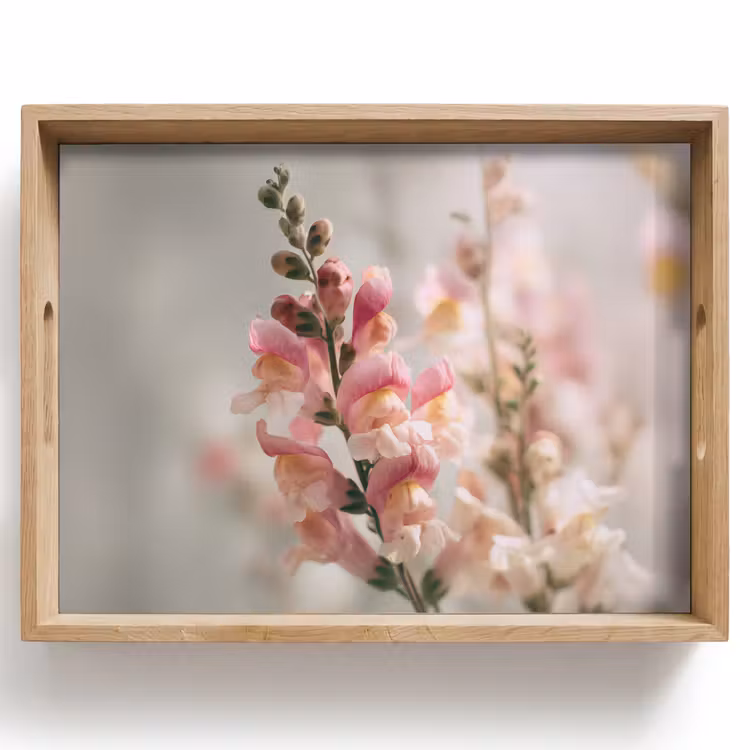 Tray - Flower - Snapdragon - Pink - Stem — 1