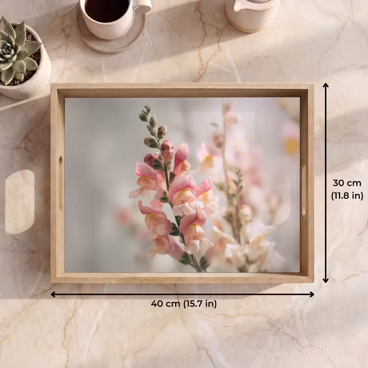 Tray - Flower - Snapdragon - Pink - Stem — 7