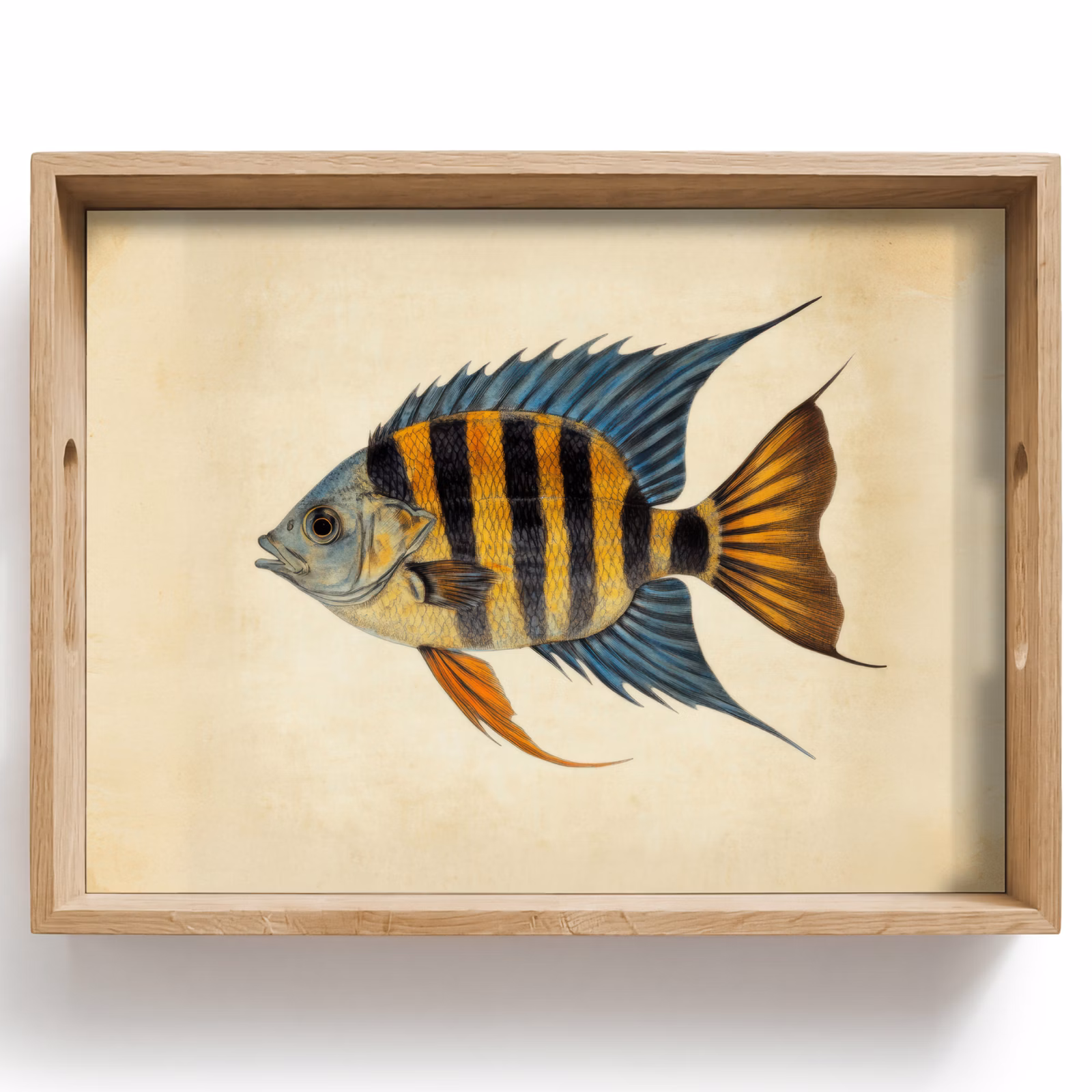 Tray - Fish - Tropical - Stripes - Fins — 1