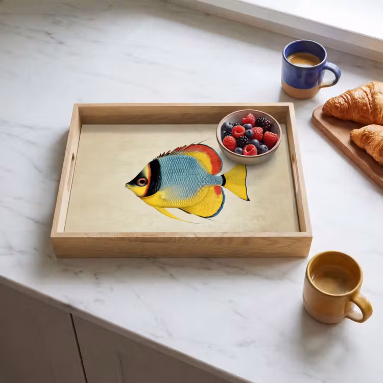 Tray - Colorful - Fish - Scales - Illustration — 3