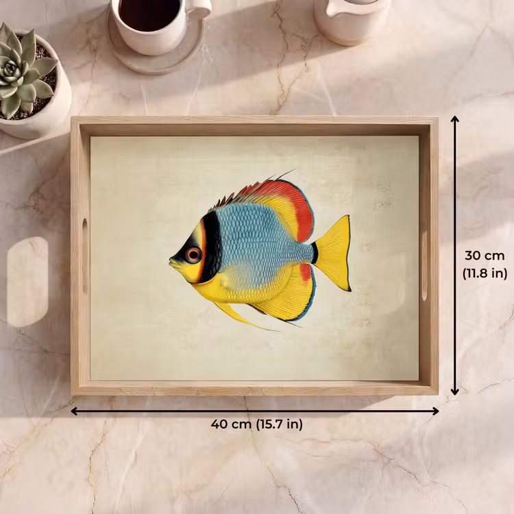 Tray - Colorful - Fish - Scales - Illustration — 7