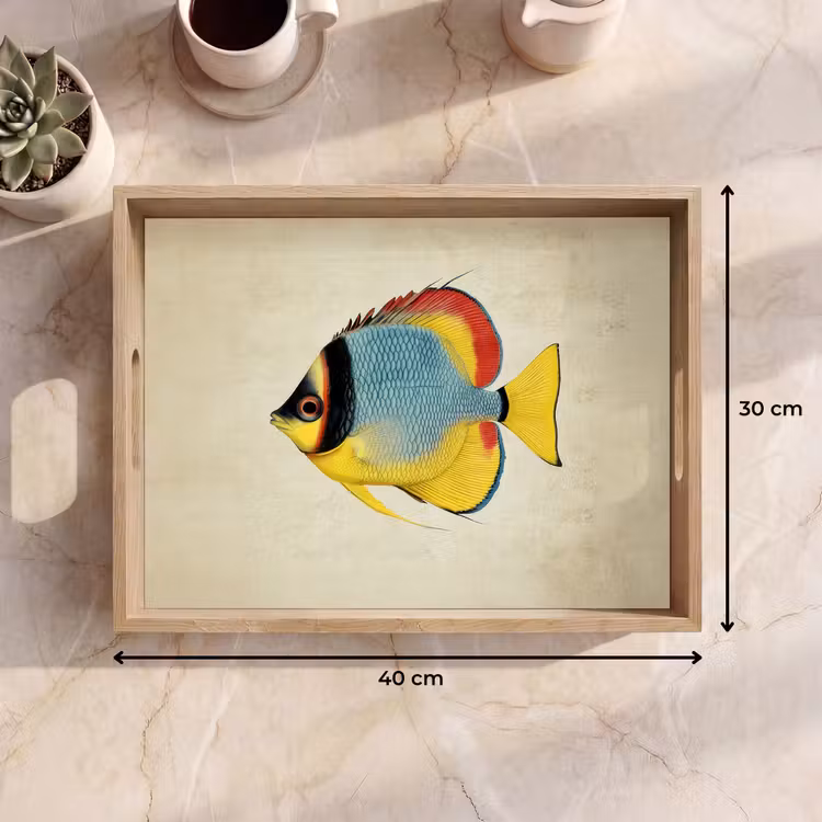 Tray - Colorful - Fish - Scales - Illustration — 8