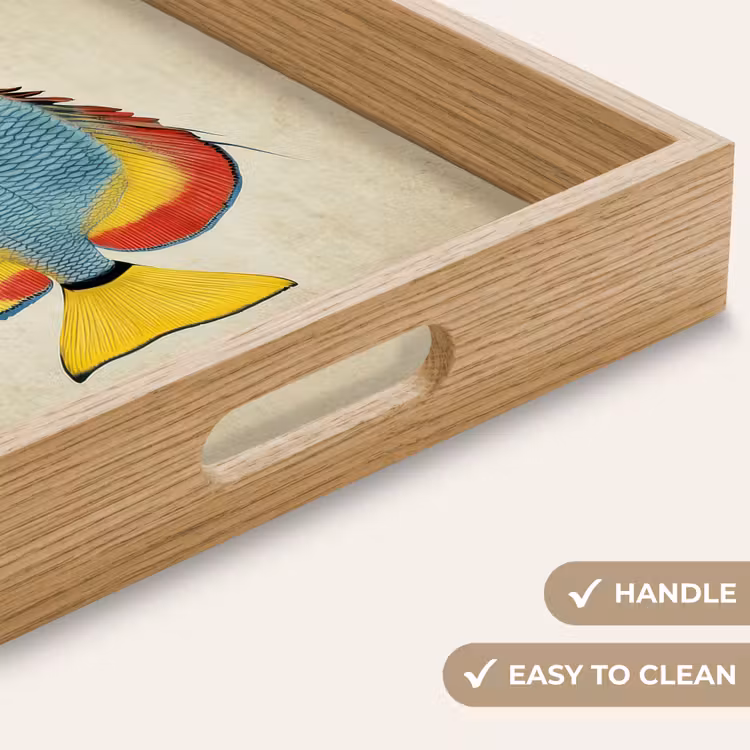 Tray - Colorful - Fish - Scales - Illustration — 9