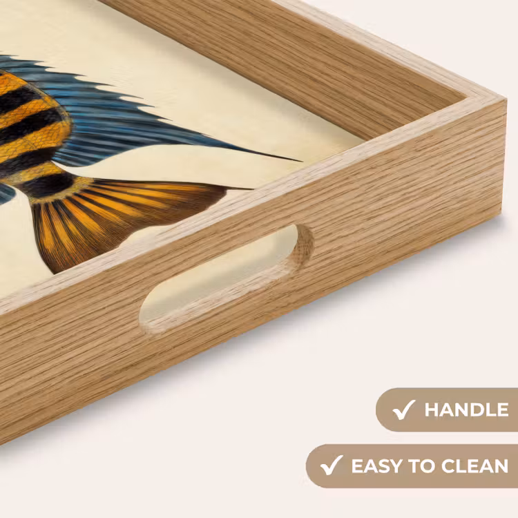 Tray - Fish - Tropical - Stripes - Fins — 9