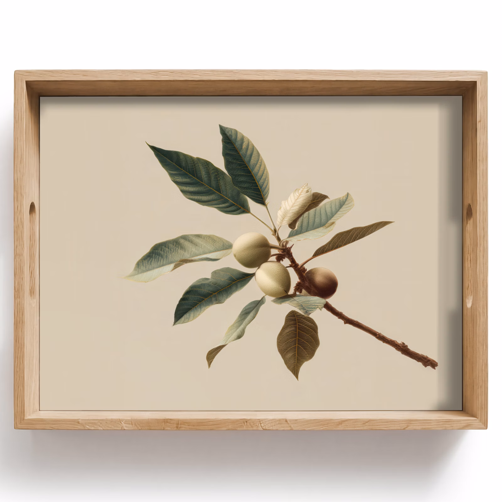 Tray - Branch - Green Leaves - Fruits — 1
