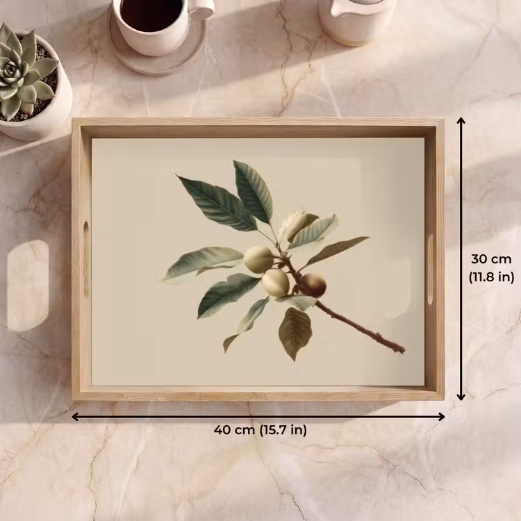 Tray - Branch - Green Leaves - Fruits — 7