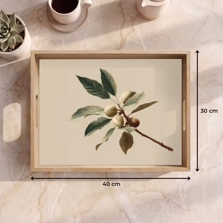 Tray - Branch - Green Leaves - Fruits — 8