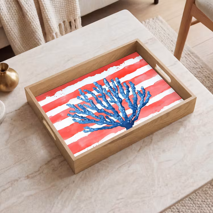 Tray - Coral - Paint texture - Red - Blue — 2