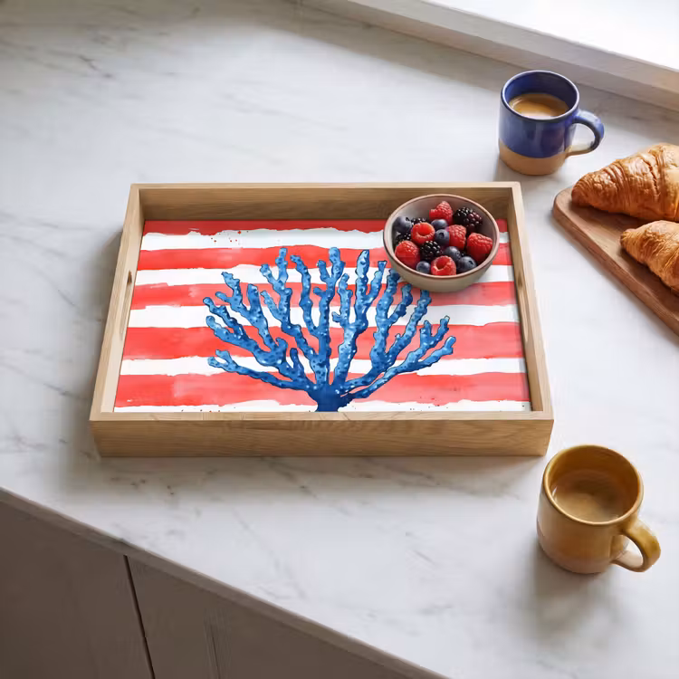Tray - Coral - Paint texture - Red - Blue — 3