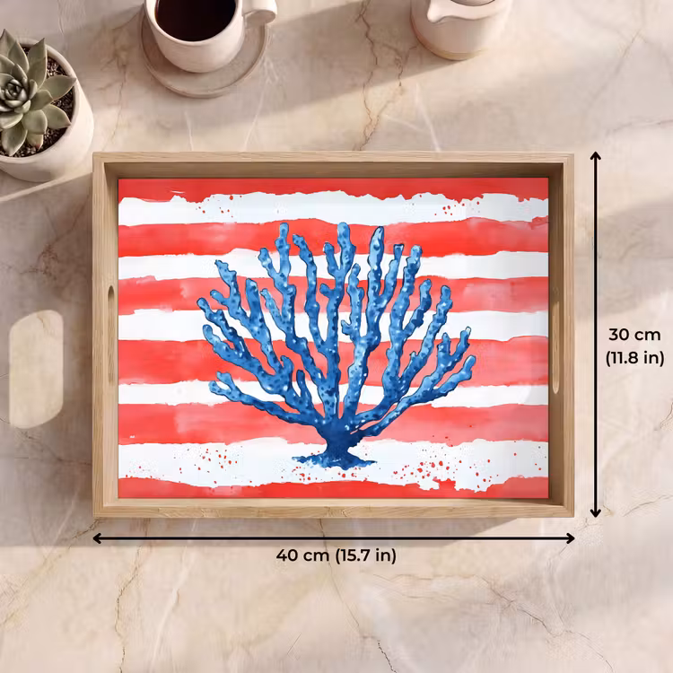 Tray - Coral - Paint texture - Red - Blue — 7