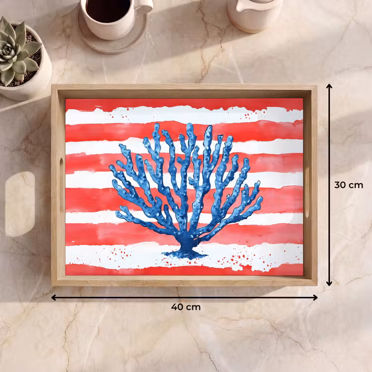 Tray - Coral - Paint texture - Red - Blue — 8