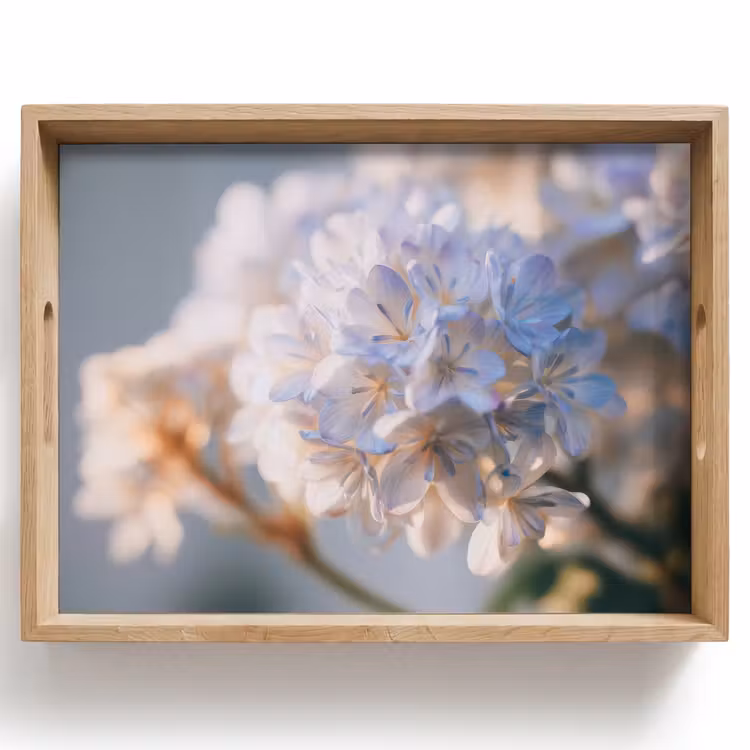 Tray - Flowers - Light blue - Blurred - Clusters — 1