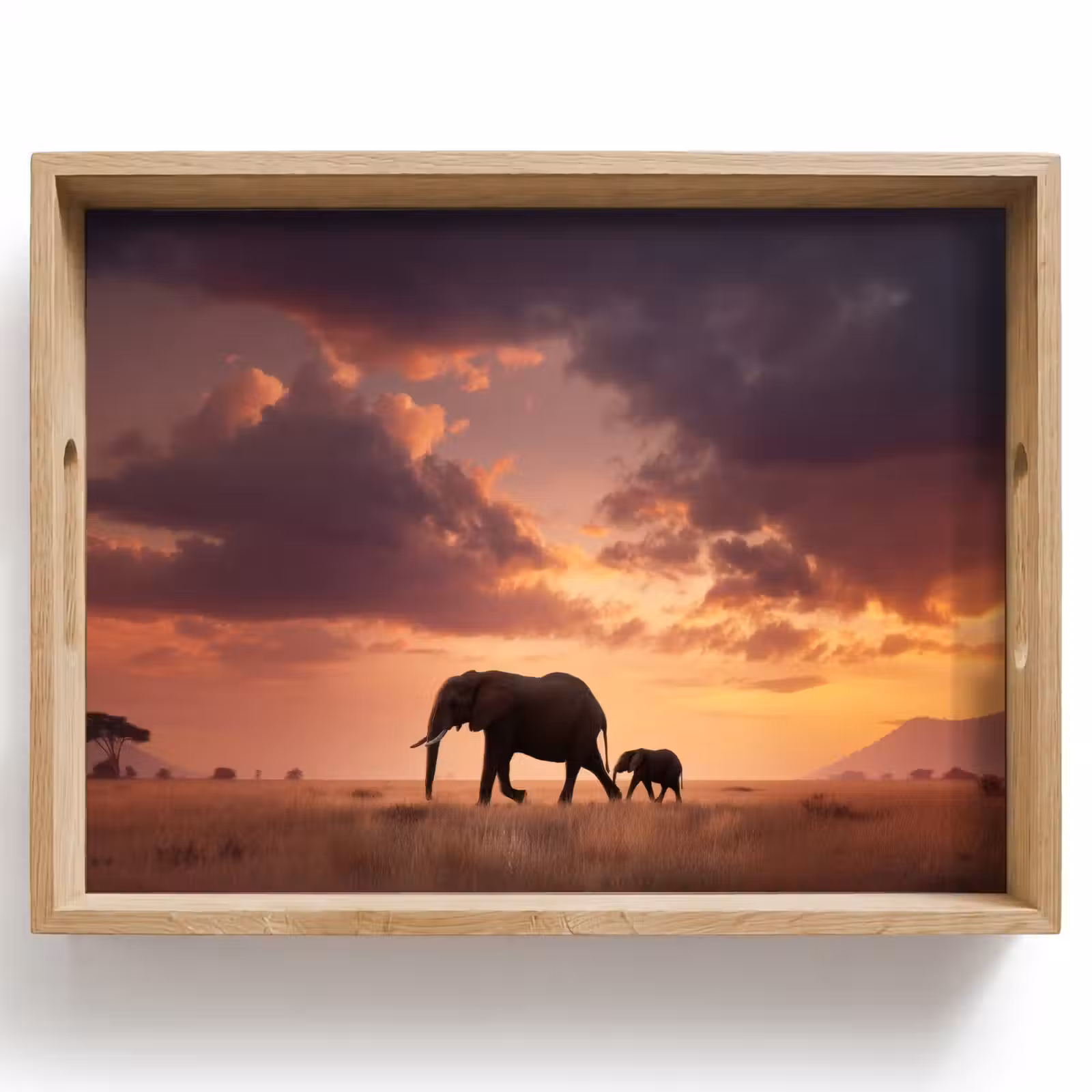 Tray - Elephants - Grassland - Sunset — 1