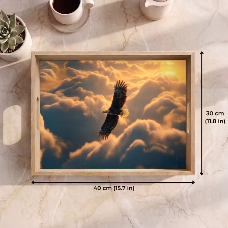 Tray - Eagle - Clouds - Sun — 7