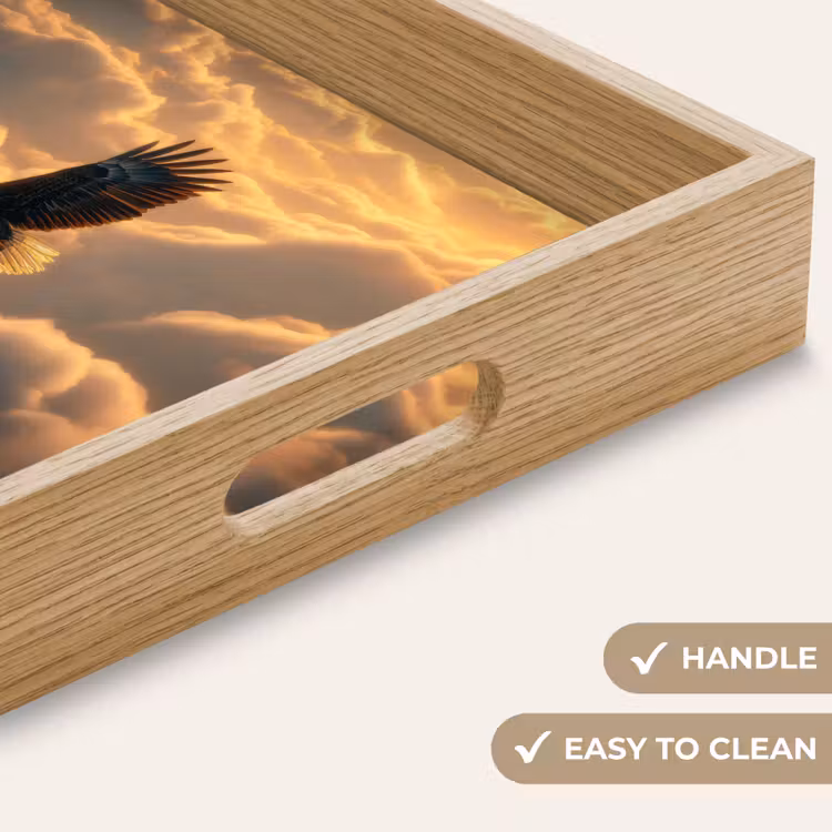 Tray - Eagle - Clouds - Sun — 9