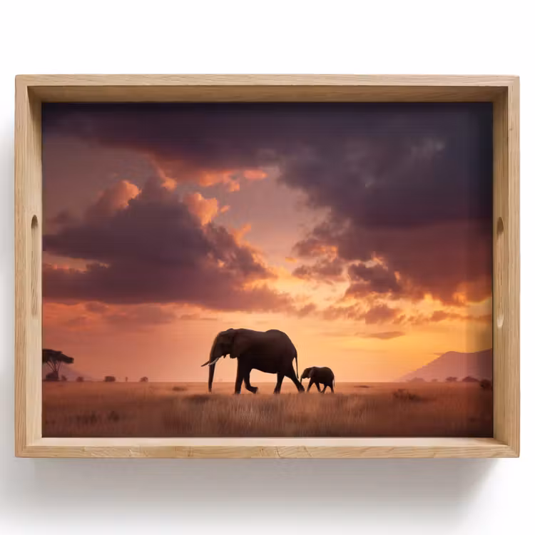 Tray - Elephants - Grassland - Sunset — 1